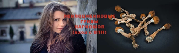 хмурый Волоколамск