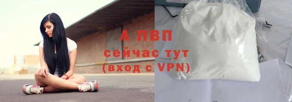 хмурый Волоколамск