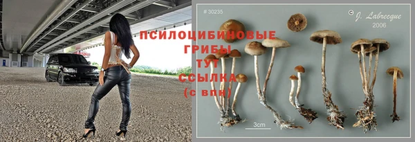 хмурый Волоколамск